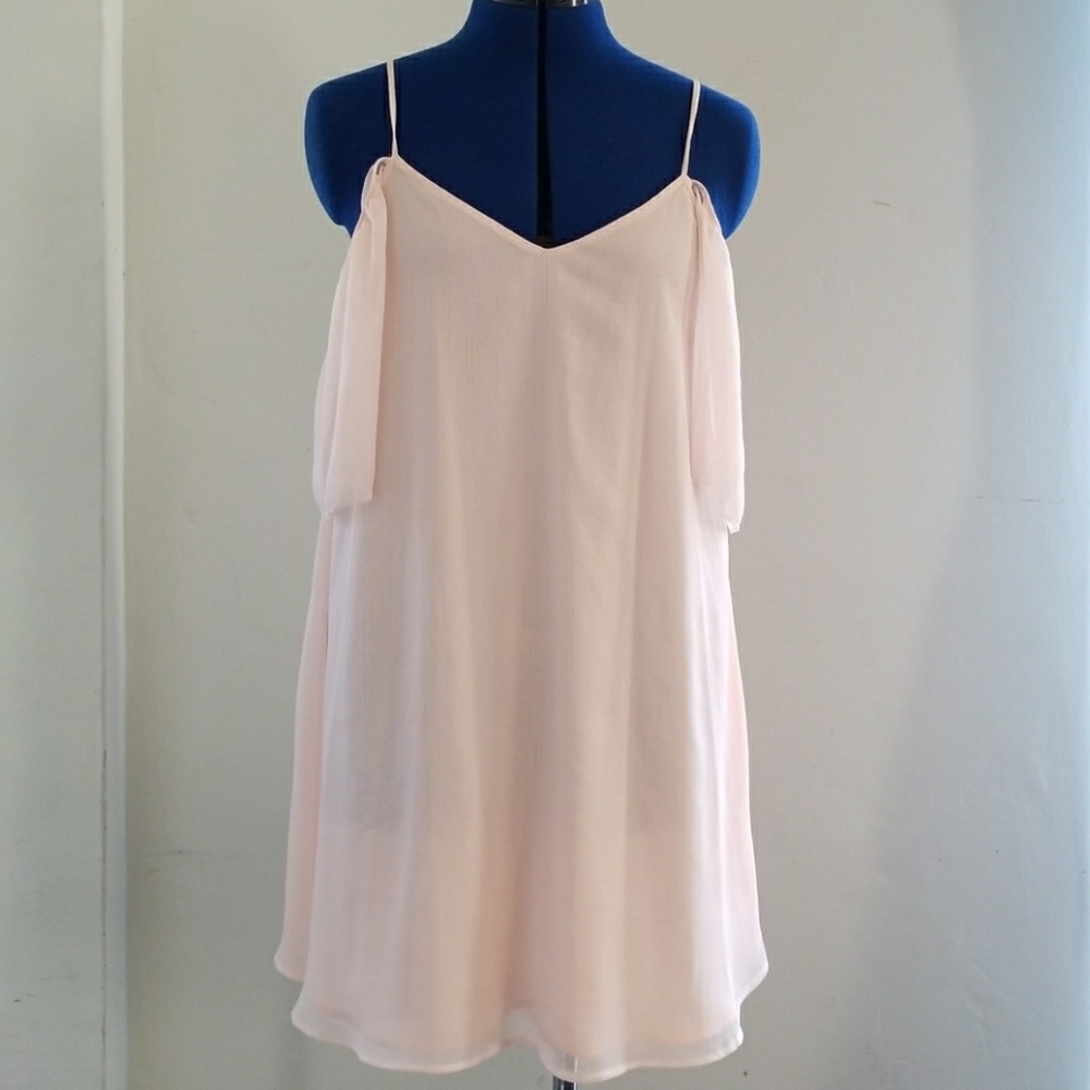 FRENCH CONNECTION Blush Pink Chiffon Dress